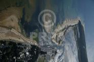 00323-10044 00323-10044