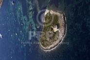 10274-00449 10274-00449