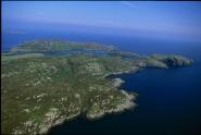 00353-00721 00353-00721