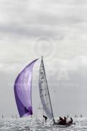 10282-11021 10282-11021