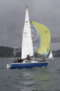 10282-11251 10282-11251