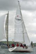 10292-10264 10292-10264