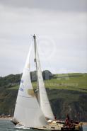 10292-11447 10292-11447