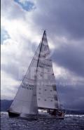 10238-01013 10238-01013