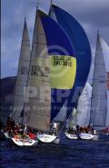 10238-01401 10238-01401