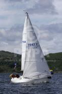 10290-10653 10290-10653