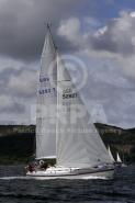 10290-10722 10290-10722