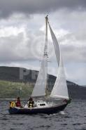 10290-10732 10290-10732