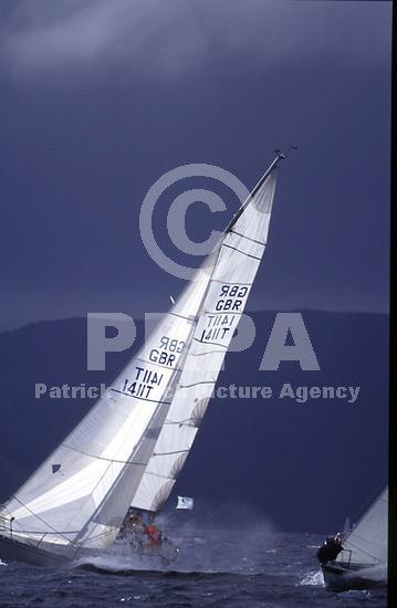 10238-02619